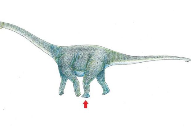 A drawing illustrating the dinosaur that may have left a footprint in Mongolia's Gobi Desert CREDIT: OKAYAMA UNIVERSITY OF SCIENCE