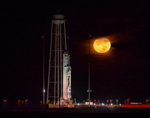 29706136403_d3cd84164a_n