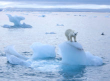 arctic ice melts