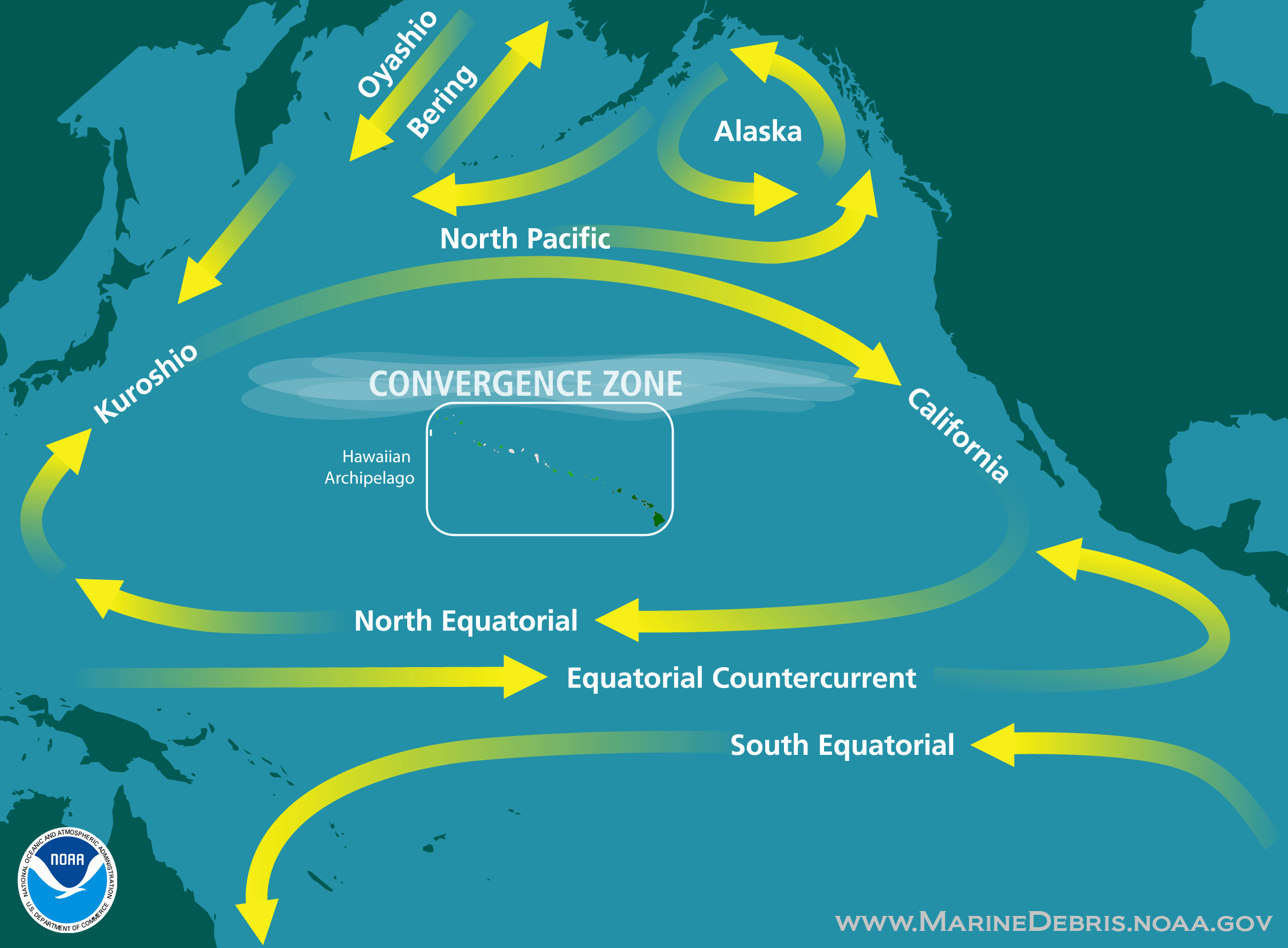 What is The Great Pacific Garbage Patch? - The Camping Canuck