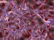 NIH awards Salk Institute