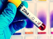 Zika vaccine