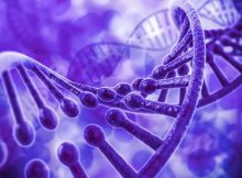 gene editing experiment