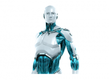 humanoid robot industry