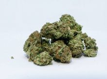 Medical Marijuana registry