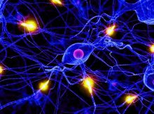 antibody migraine treatment