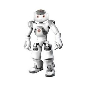humanoid robot market