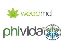 cannabis-infused beverage line