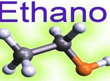 china increases ethanol imports
