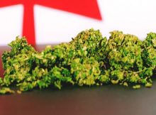 cura partners opens arizon